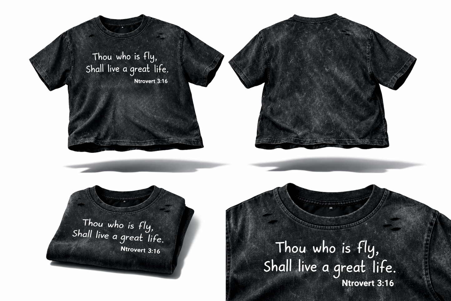 Ntrovert 3:16 Tee
