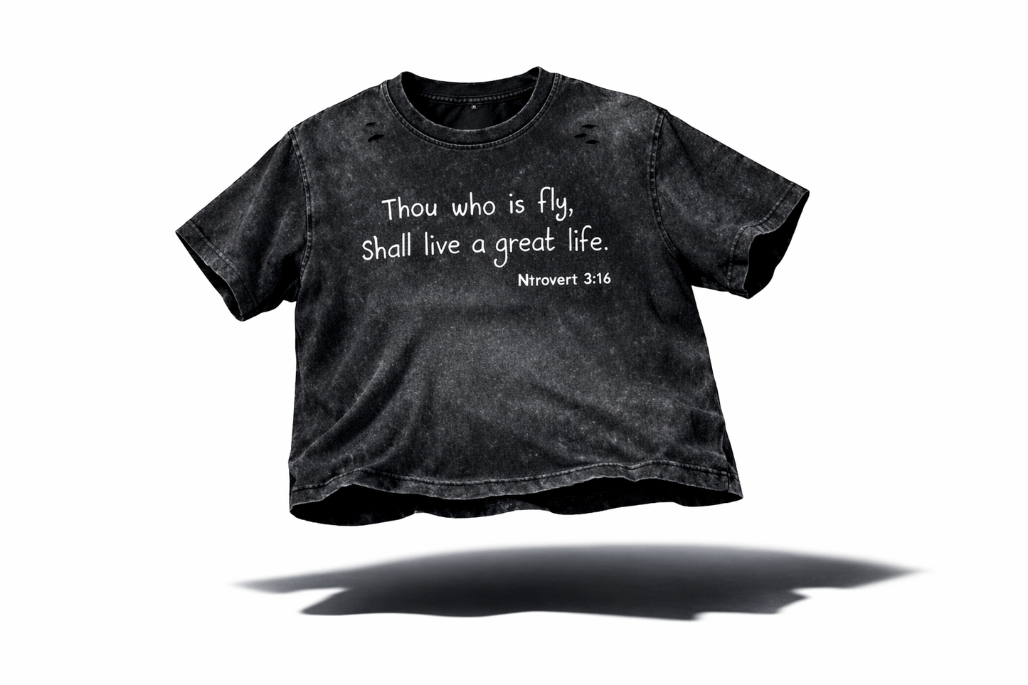 Ntrovert 3:16 Tee