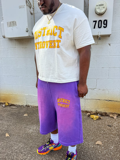 "Purple Rain" Sweatshorts